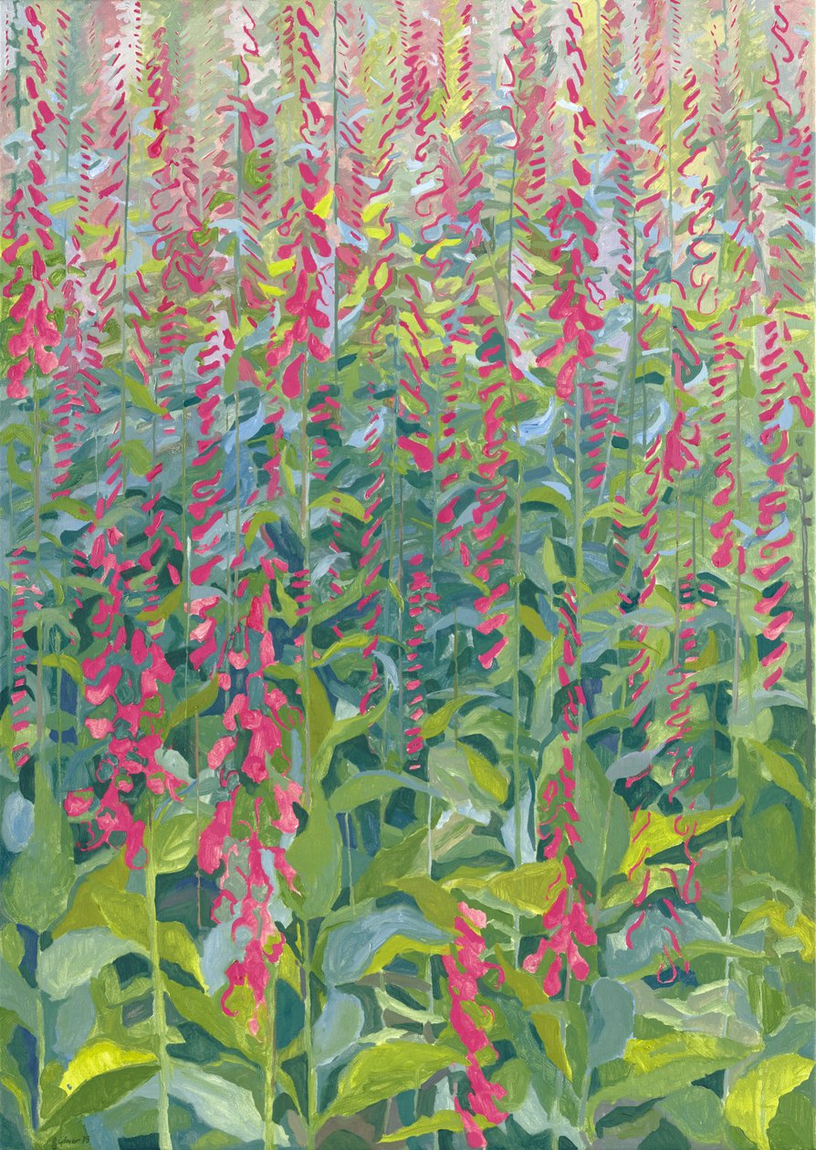 Foxgloves、2014年 作： リー・グローバー