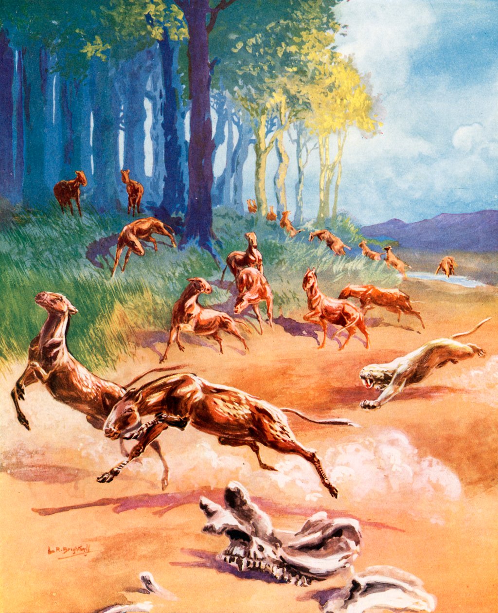  作： レナード・ロバート・ブライトウェル