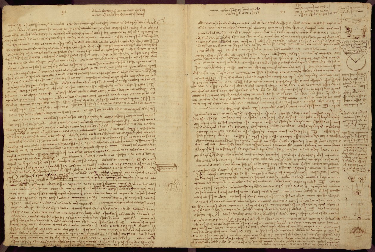 コーデックスレスターのページ、1508-12（リネン紙にセピアインク） 作： レオナルド・ダ・ヴィンチ
