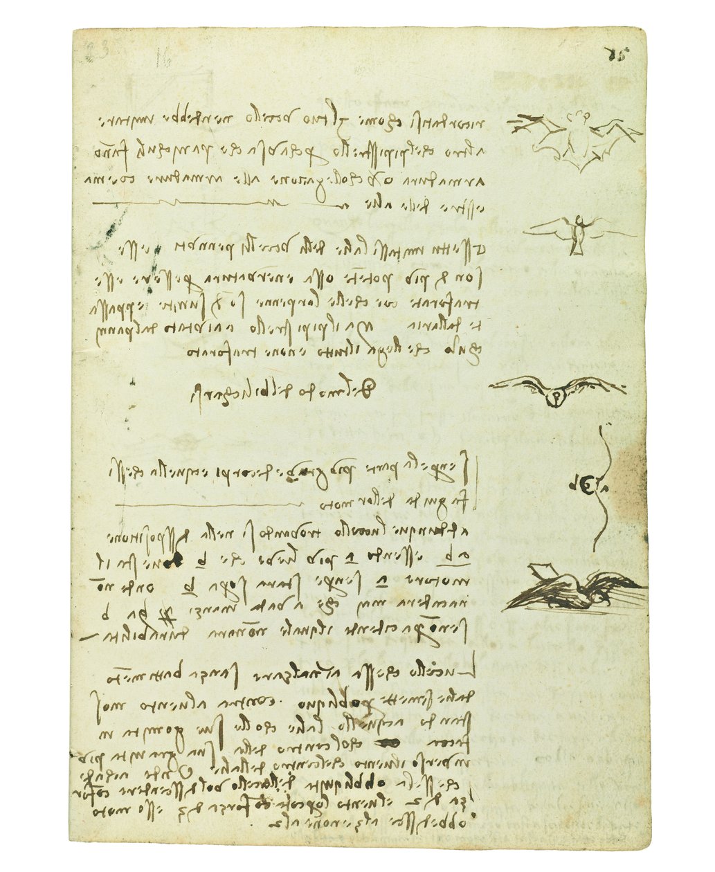 鳥の飛行に関するコーデックス、Folio 15 recto 作： レオナルド・ダ・ヴィンチ