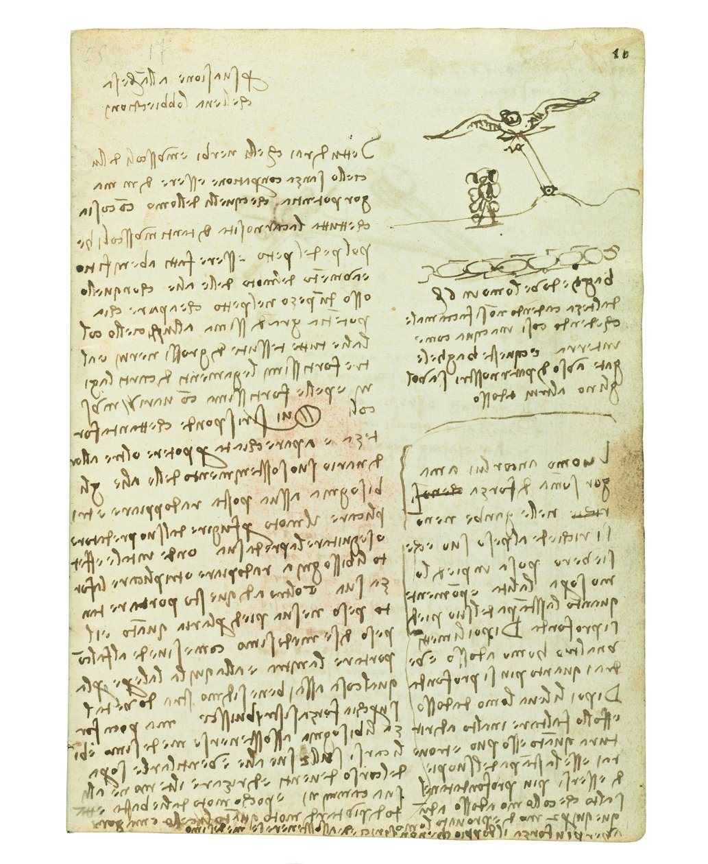 鳥の飛行に関するコーデックス、Folio 16 Recto 作： レオナルド・ダ・ヴィンチ