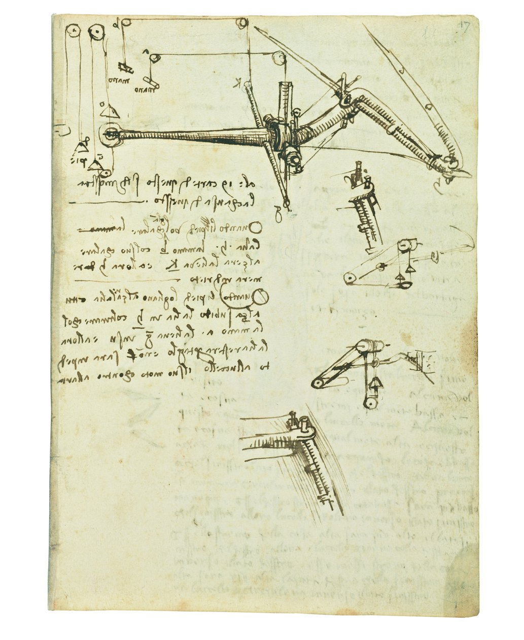 鳥の飛行に関するコーデックス、Folio 17 Recto 作： レオナルド・ダ・ヴィンチ