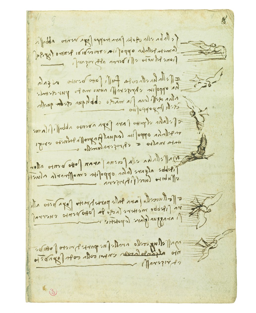 鳥の飛行に関するコーデックス、Folio 8 Recto 作： レオナルド・ダ・ヴィンチ