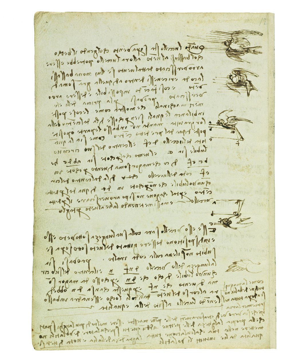 鳥の飛行に関するコーデックス、Folio 8 verso 作： レオナルド・ダ・ヴィンチ