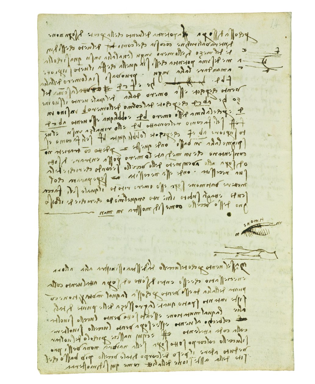 鳥の飛行に関するコーデックス、Folio 9 verso 作： レオナルド・ダ・ヴィンチ
