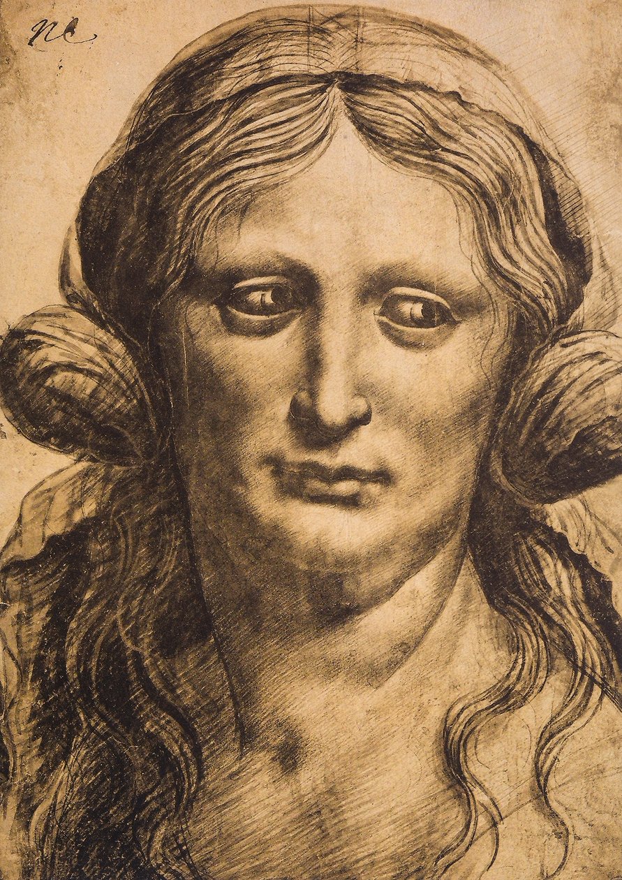 女性の肖像画;レオナルド・ダ・ヴィンチの絵。ルーブル美術館、パリ 作： レオナルド・ダ・ヴィンチ