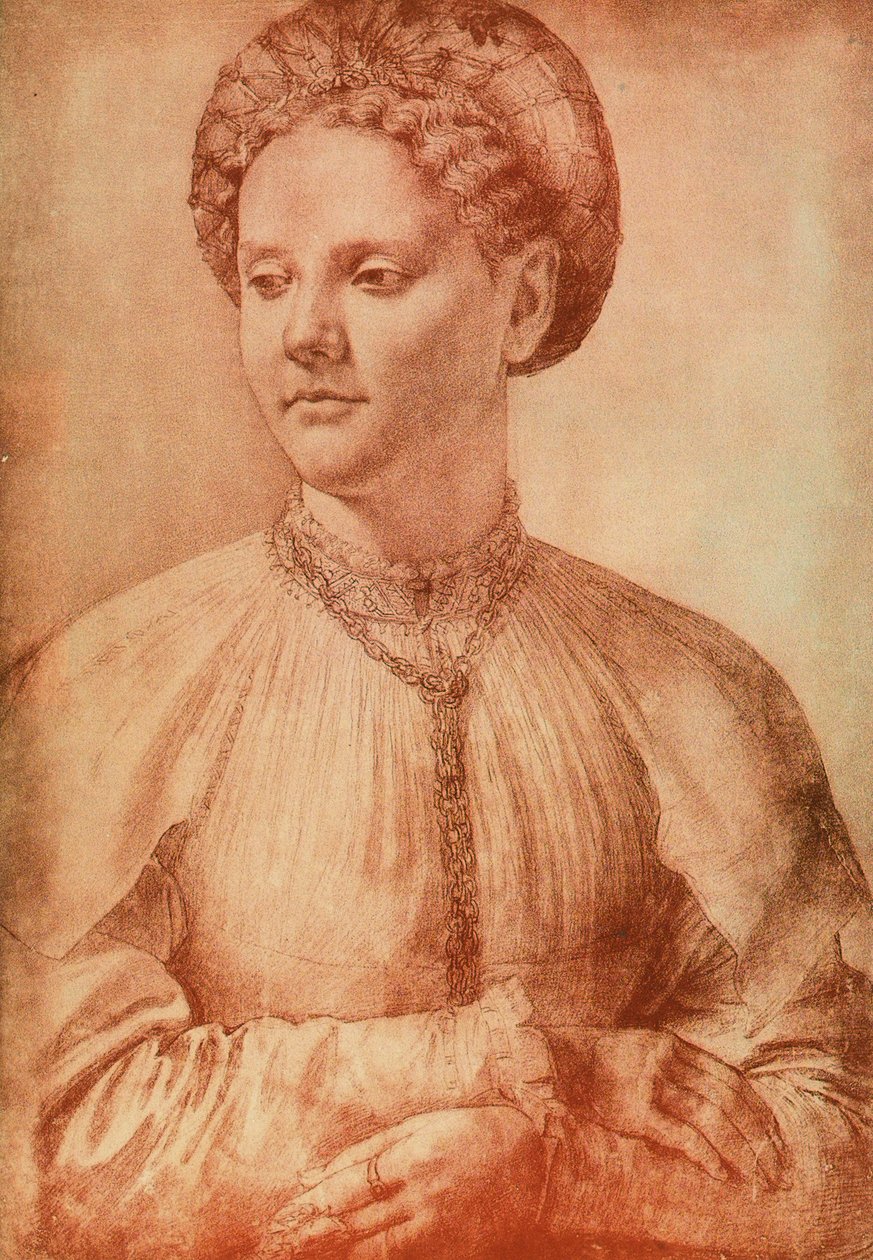 レオナルドダヴィンチが描いた貴婦人の肖像。内閣描画と版画、ウフィツィ美術館、フィレンツェ 作： レオナルド・ダ・ヴィンチ