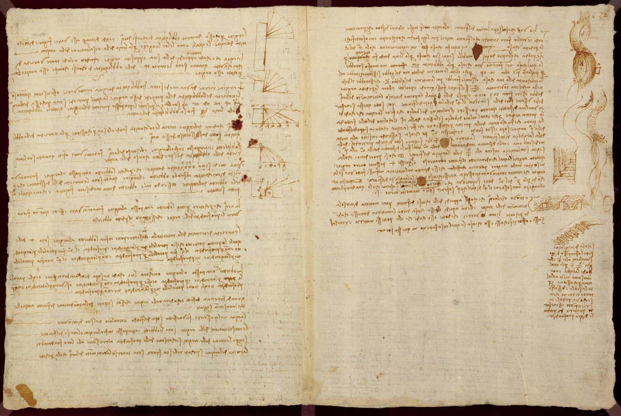 科学図、「コーデックスレスター」、1508-12（リネン紙のセピアインク） 作： レオナルド・ダ・ヴィンチ