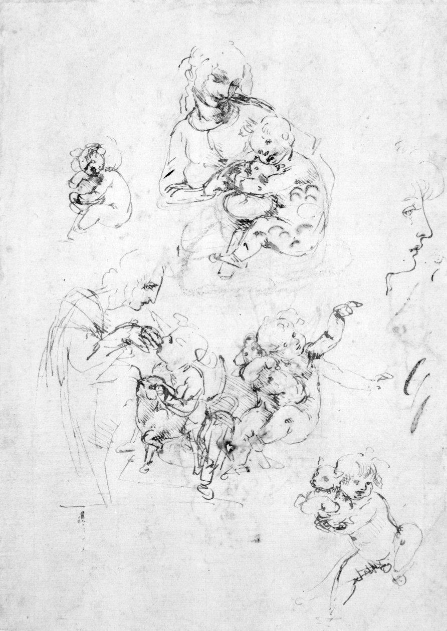 猫とマドンナの研究、c.1478-80（紙の上の黒いチョークの上にペンとインク） 作： レオナルド・ダ・ヴィンチ