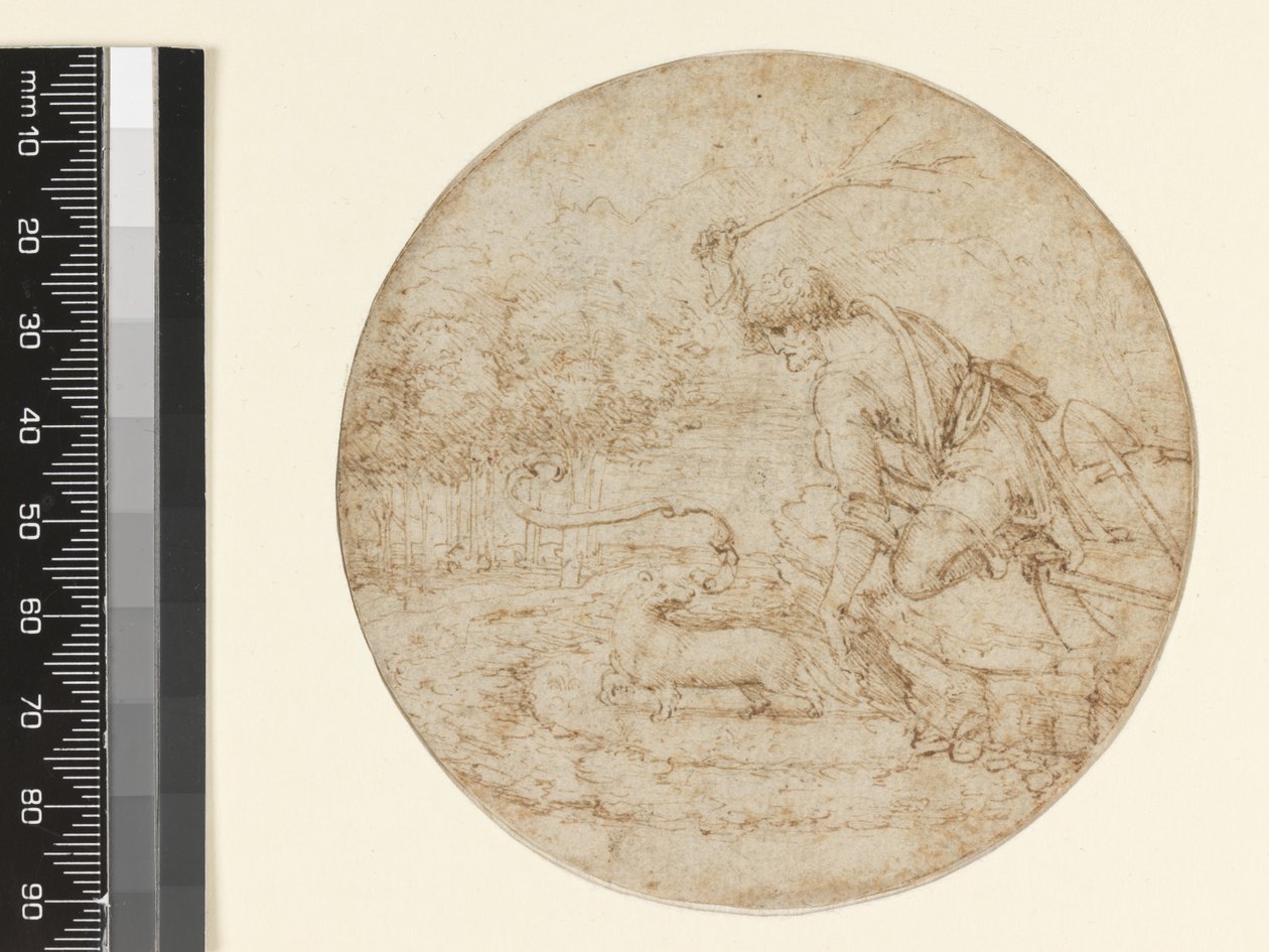 純度の象徴としてのアーミン、c.1494（紙の上の黒の上にペンと茶色のインク） 作： レオナルド・ダ・ヴィンチ