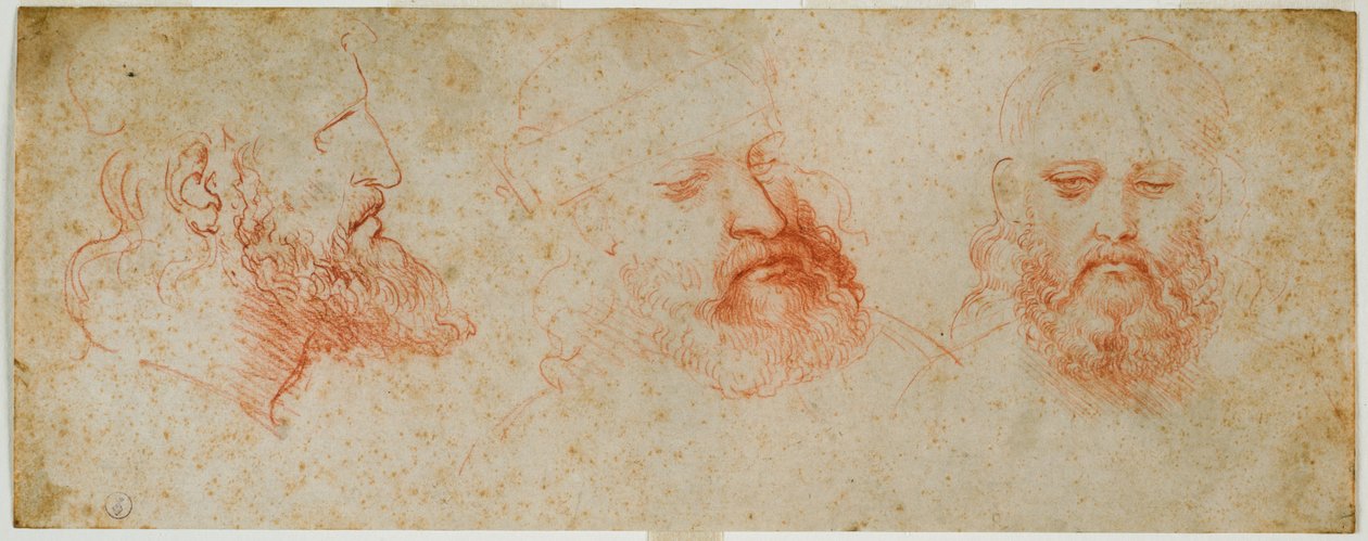 ひげのある男らしい頭の3つのビュー、c。 1502（紙の上の血） 作： レオナルド・ダ・ヴィンチ