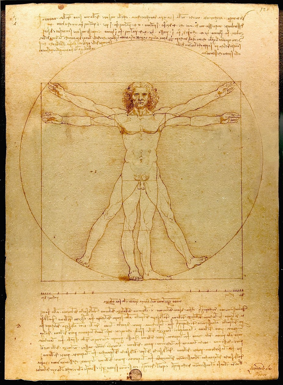 Vitruvius Luc Viatour 作： レオナルド・ダ・ヴィンチ