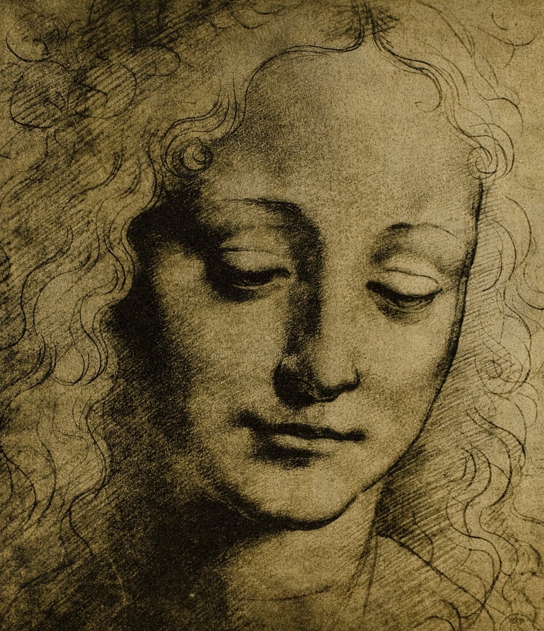 若者の頭;レオナルド・ダ・ヴィンチの絵。内閣描画と版画、ウフィツィ美術館、フィレンツェ 作： レオナルド・ダ・ヴィンチ