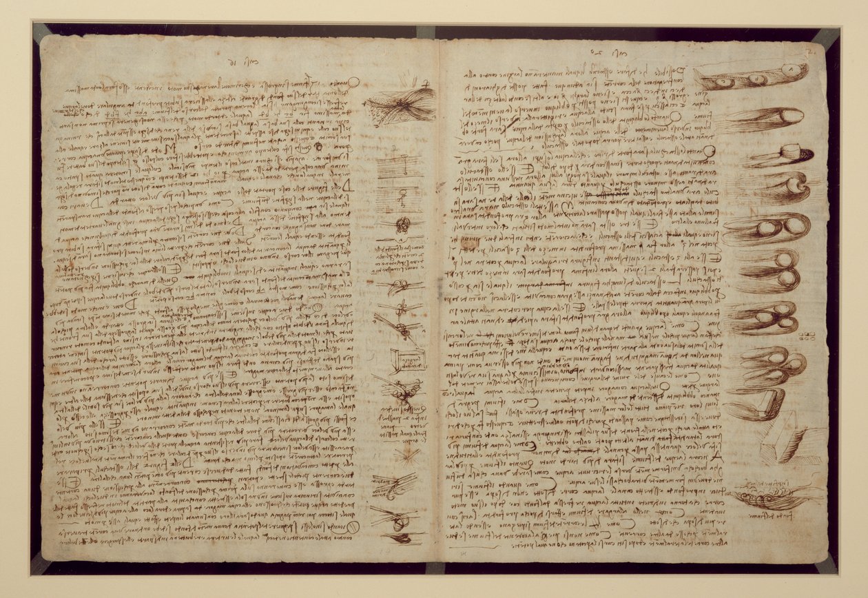 コーデックスレスターのページ、1508-12（リネン紙にセピアインク） 作： レオナルド・ダ・ヴィンチ