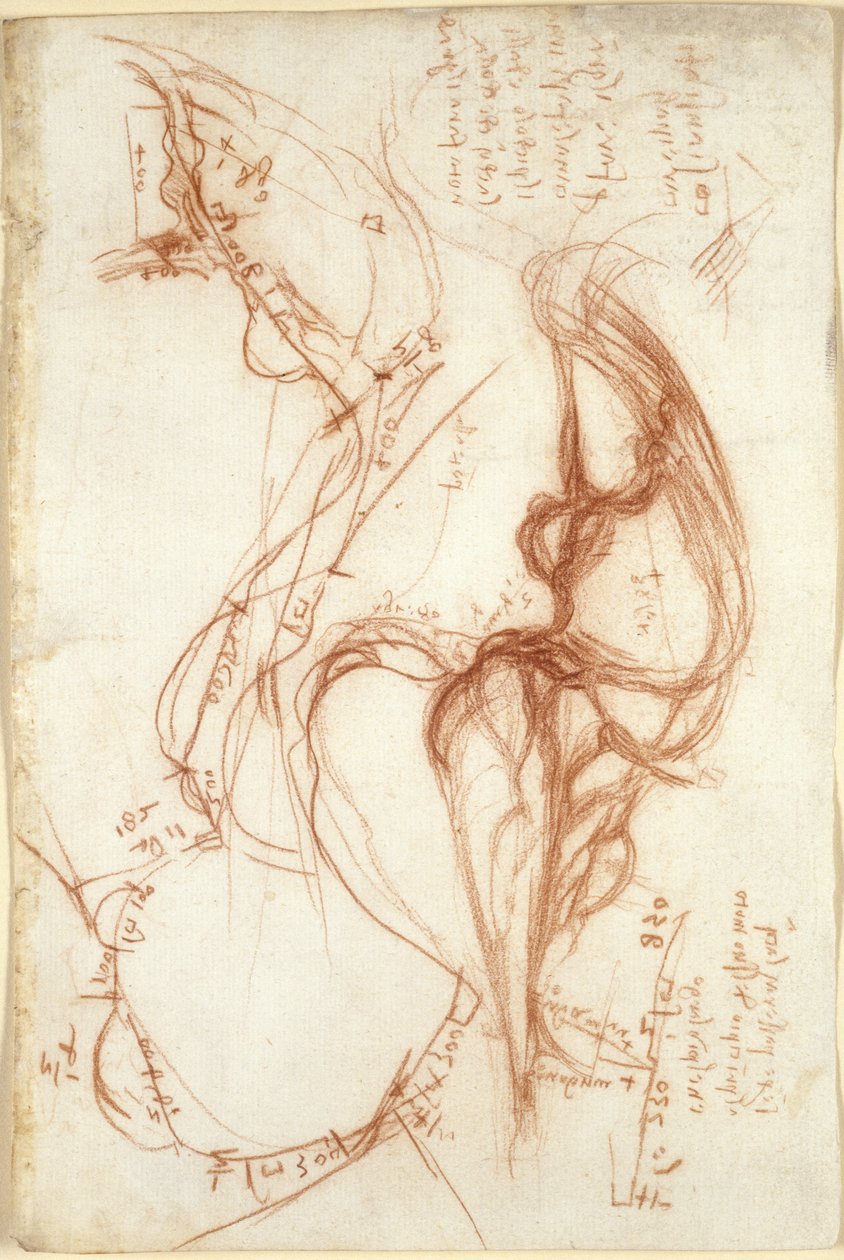 Arundel 263、f.149、アルノ川の平面スケッチ。 水管理上の注意 作： レオナルド・ダ・ヴィンチ