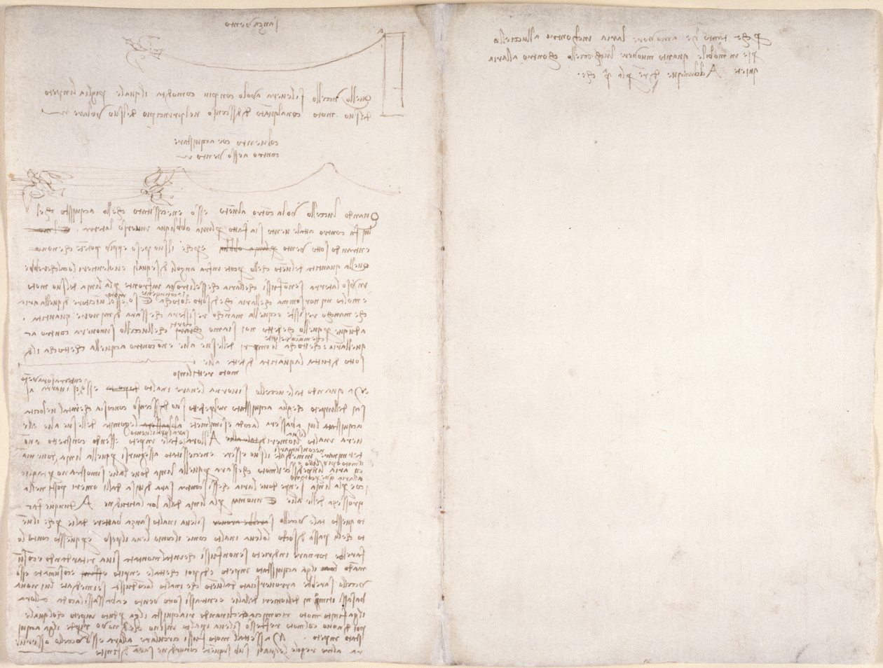 Arundel 263, f.166v, f.163 「Codex Arundel」からの鳥の飛行に関するメモと図表、c.1500-5 (紙にペンとインク) 作： レオナルド・ダ・ヴィンチ