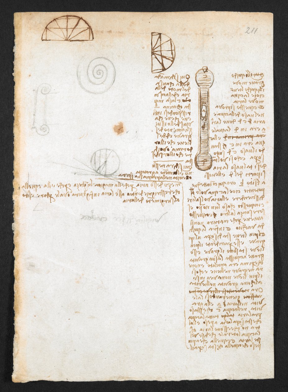 Arundel 263, f.211r 「Codex Arundel」からのメモ、スケッチ、および図 (紙にペンとインク) 作： レオナルド・ダ・ヴィンチ
