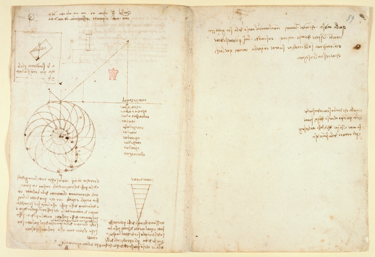 Arundel 263 f.44v、f.59 横顔の目と鼻のスケッチ。 「Codex Arundel」の水に関するメモ (紙にペンとインク) 作： レオナルド・ダ・ヴィンチ