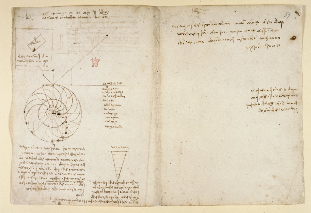 Arundel 263、f.44v、f.59 横顔の目と鼻のスケッチ。 「Codex Arundel」の水に関するメモ (紙にペンとインク) 作： レオナルド・ダ・ヴィンチ