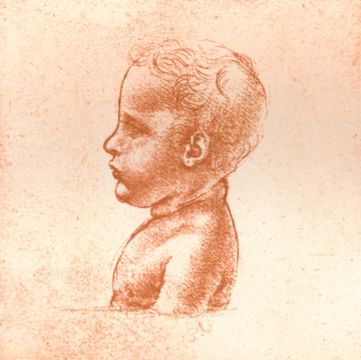 少年の胸像、c1472-c1519 1883 作： レオナルド・ダ・ヴィンチ