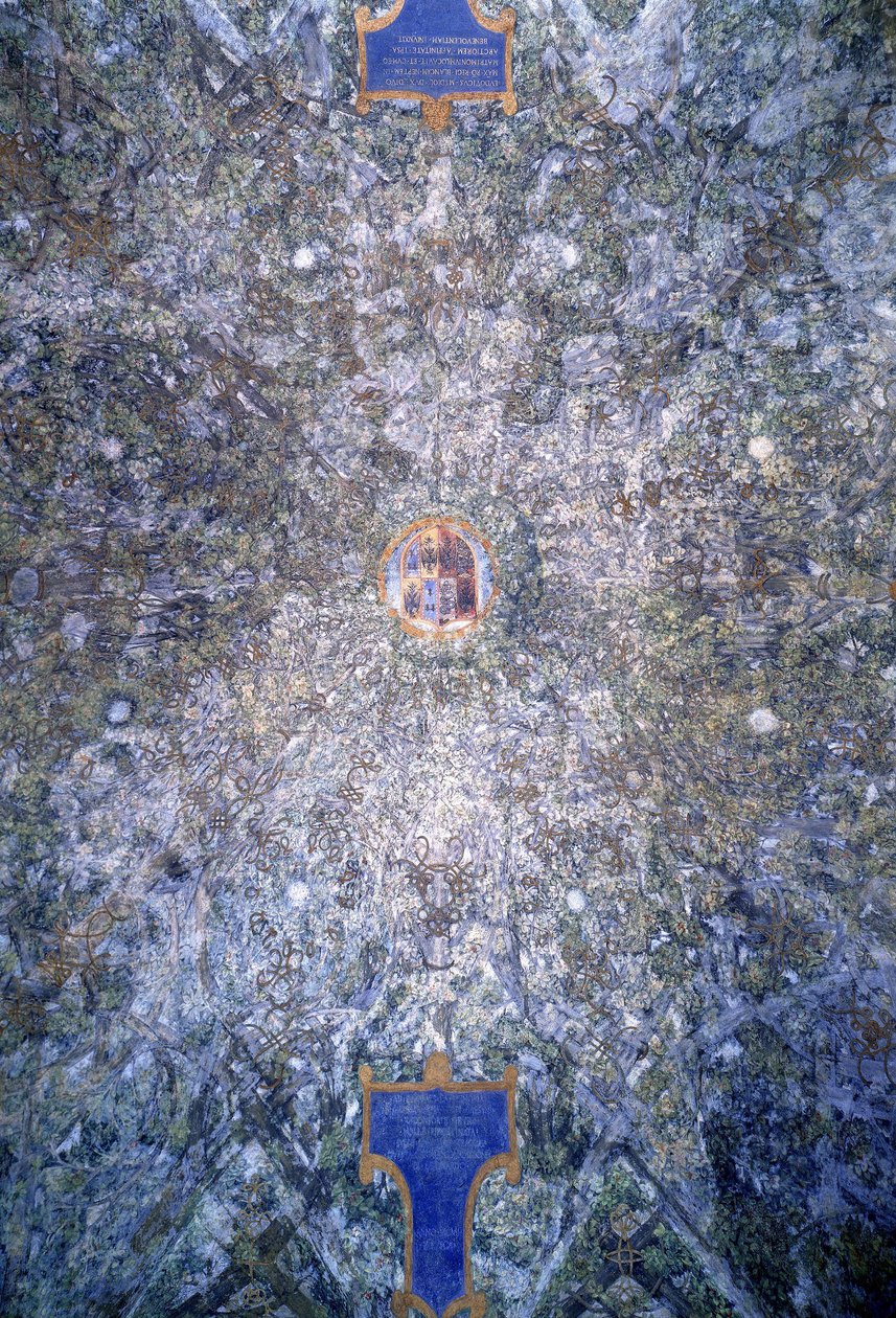 幾何学的な枝のパーゴラデザインのサラデッレアッセのアーチ型天井の詳細、c.1498 作： レオナルド・ダ・ヴィンチ