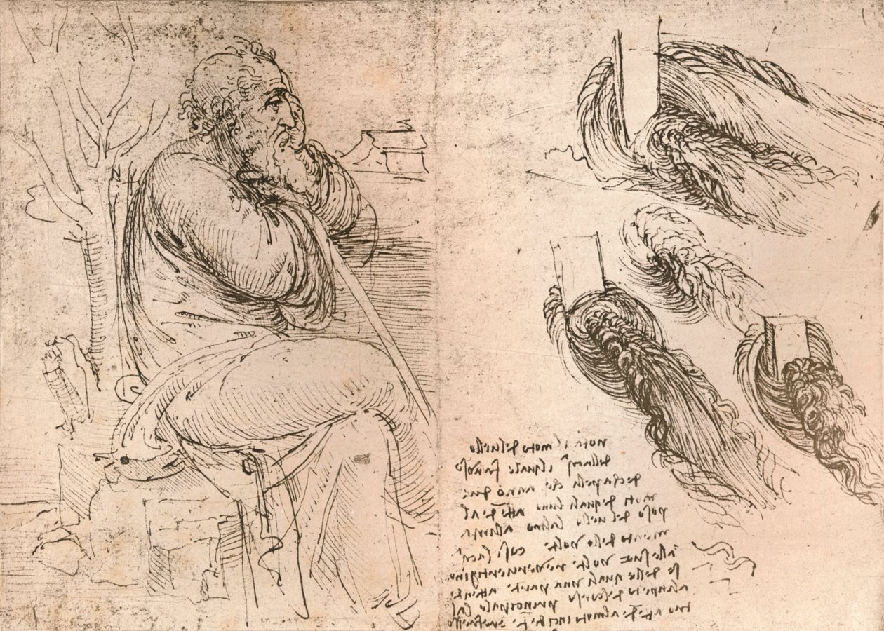 カールで落ちる髪の描写を示す図、c1472-c1519 1883 作： レオナルド・ダ・ヴィンチ