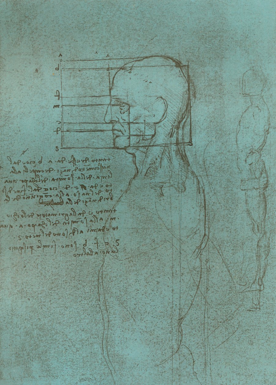 人物の比率の理論を説明する図、c1472-c1519 1883。 作： レオナルド・ダ・ヴィンチ