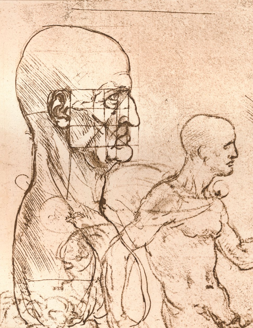 人物の比率の理論を説明する図、c1472-c1519 1883 作： レオナルド・ダ・ヴィンチ