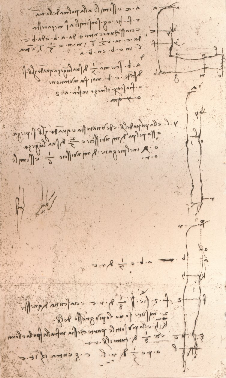 人物の比率の理論を説明する図、c1472-c1519 1883 作： レオナルド・ダ・ヴィンチ