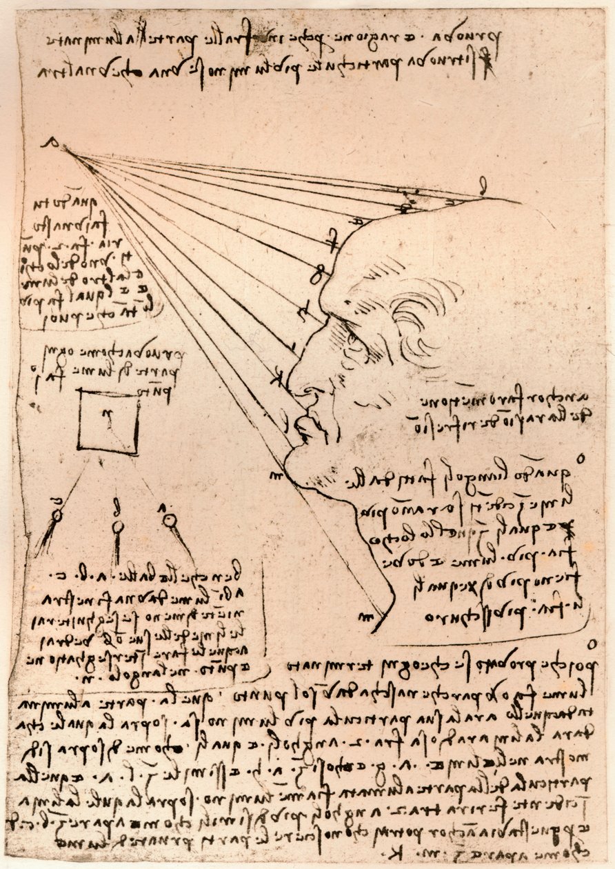 絵の練習を描いた男性の頭の絵、c1472-c1519 1883 作： レオナルド・ダ・ヴィンチ