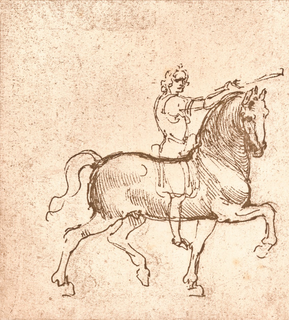歩く馬の絵、c1472-c1519 1883 作： レオナルド・ダ・ヴィンチ