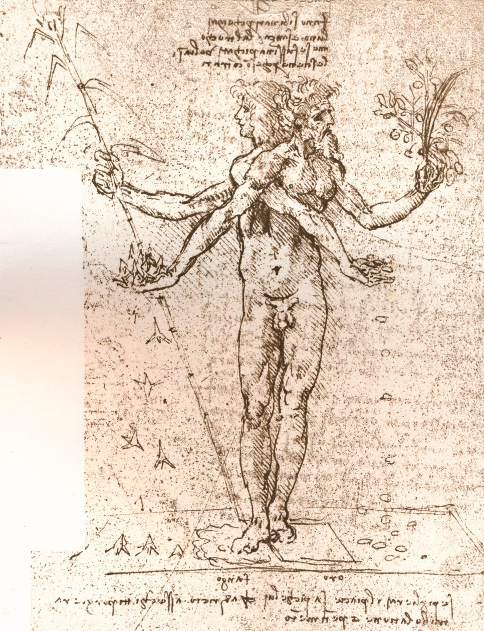 寓話的な構成の絵、c1472-c1519 1883 作： レオナルド・ダ・ヴィンチ