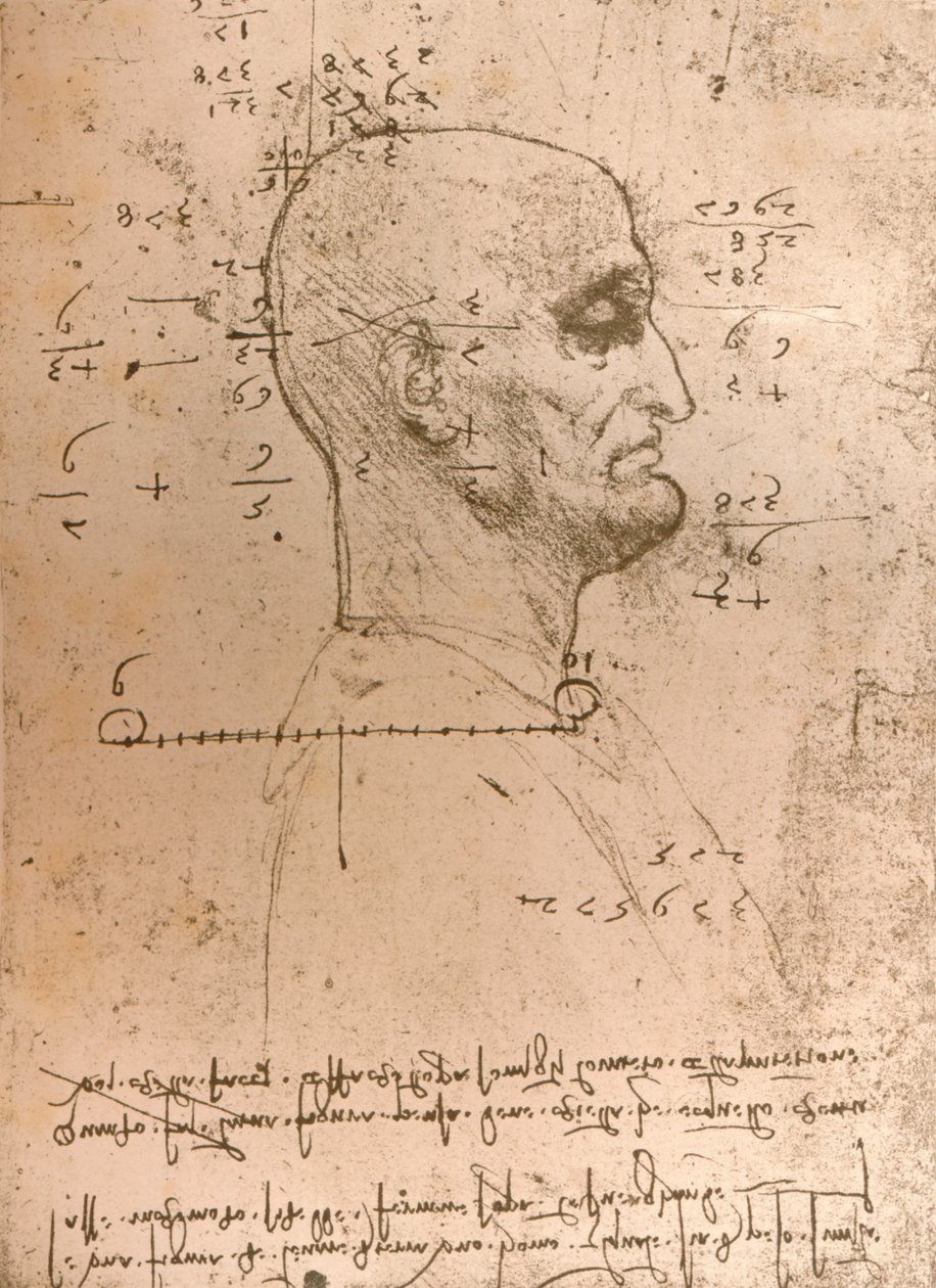 犯罪者の頭の絵、c1472-c1519 1883 作： レオナルド・ダ・ヴィンチ