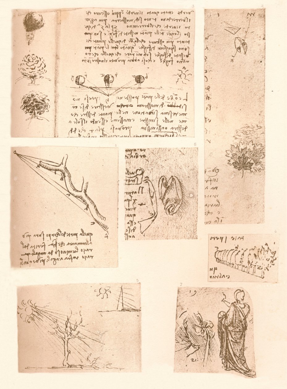 風景画の要素を示す5つの図、c1472-c1519 1883 作： レオナルド・ダ・ヴィンチ