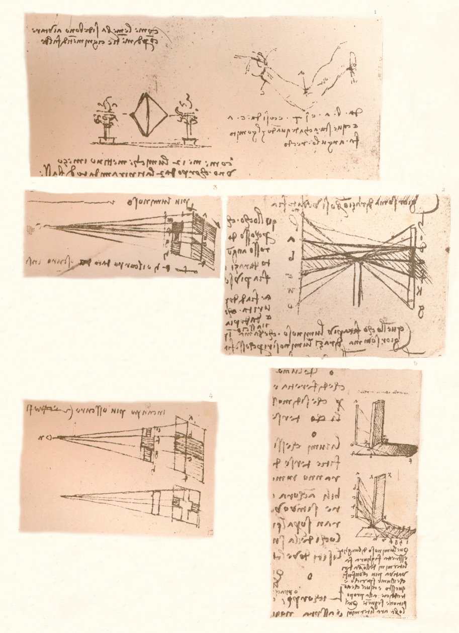 絵画の理論を説明する5つの図、c1472-c1519 1883 作： レオナルド・ダ・ヴィンチ