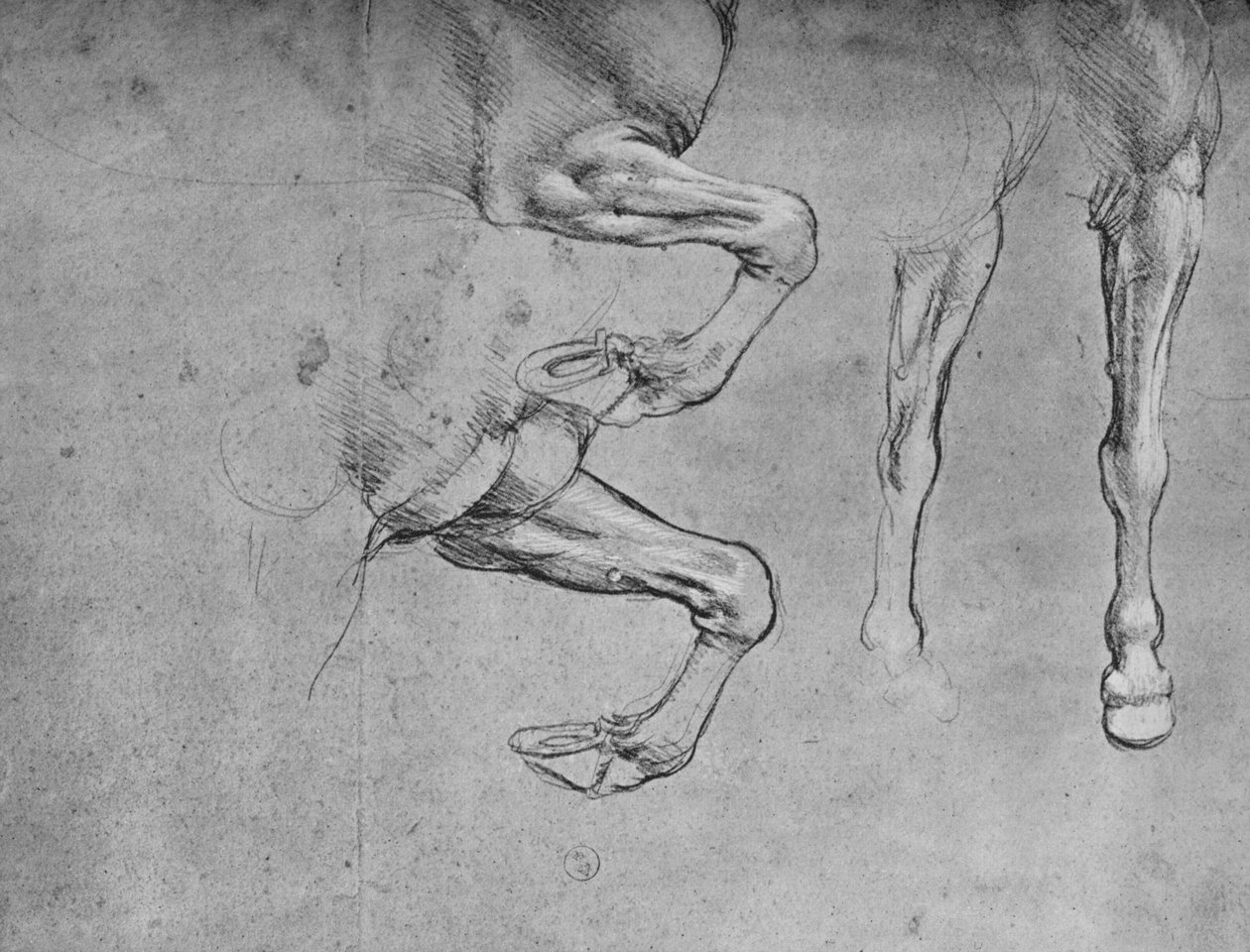 馬の脚の4つの研究、c1480 1945 作： レオナルド・ダ・ヴィンチ
