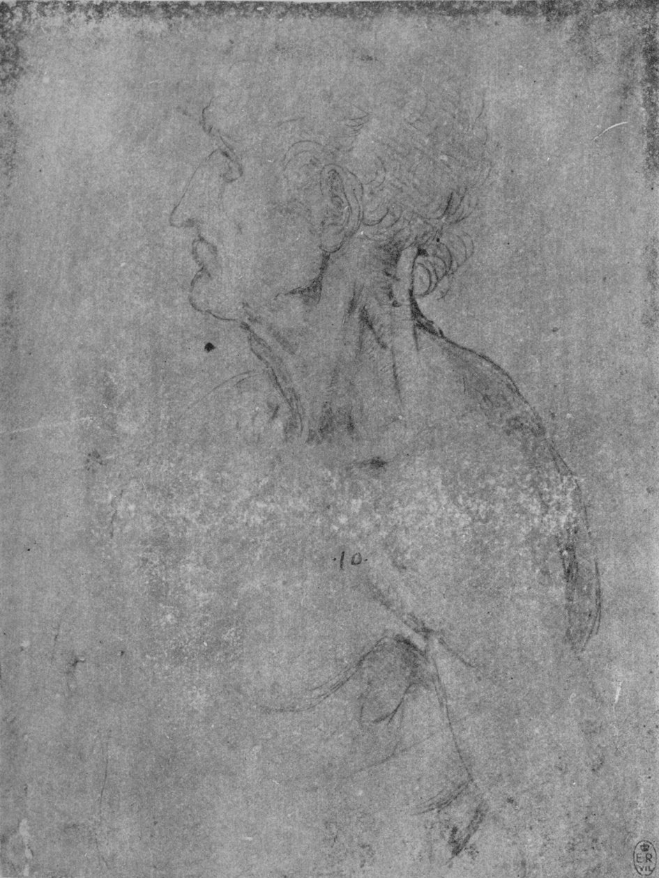 左の老人の頭と胸像、c1480 1945 作： レオナルド・ダ・ヴィンチ