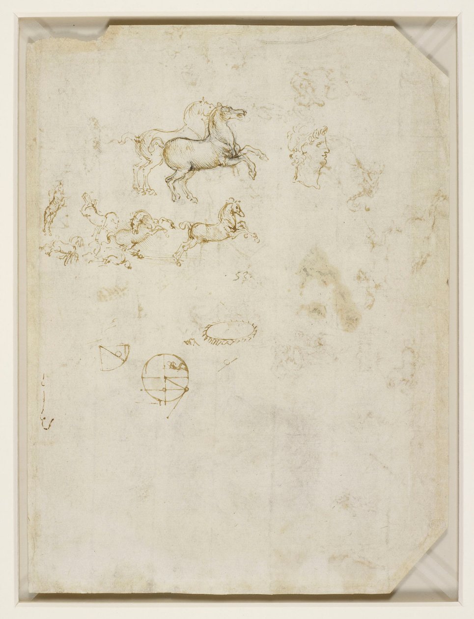 レオナルド・ダ・ヴィンチ - ヴェルソ 躍動する馬とネロの頭 c.1503-4 作： レオナルド・ダ・ヴィンチ