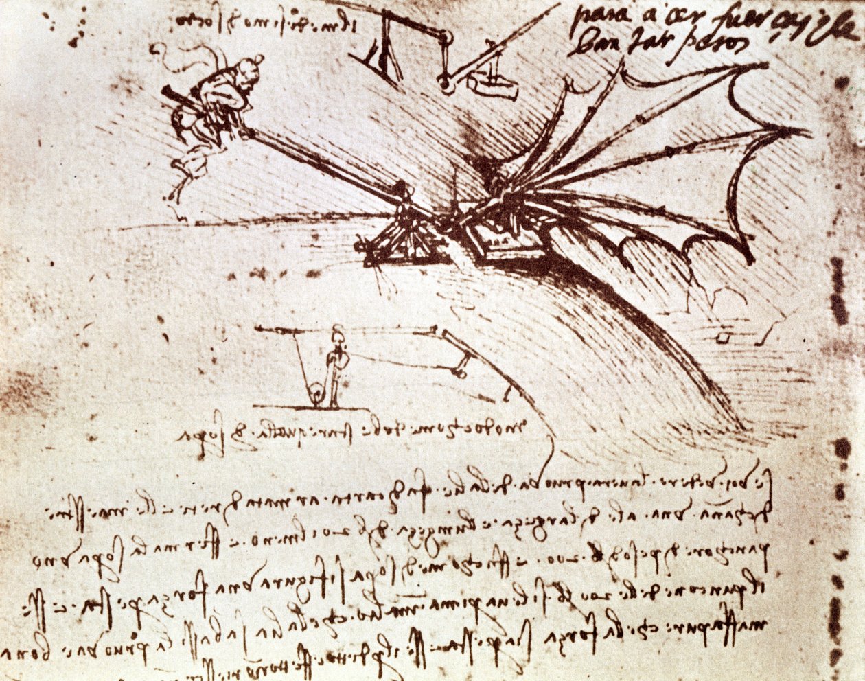 MS B fol.88v 翼の耐荷重性のテスト 作： レオナルド・ダ・ヴィンチ