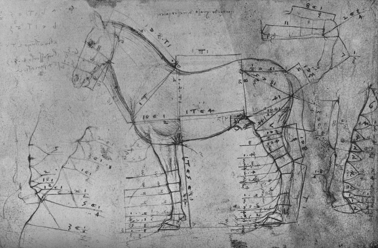 左側の横向きの馬の計測図、c1480 1945 作： レオナルド・ダ・ヴィンチ