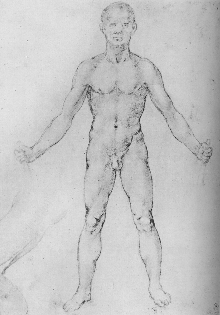 腕を伸ばした裸の男、正面から見た、c1480 1945 作： レオナルド・ダ・ヴィンチ