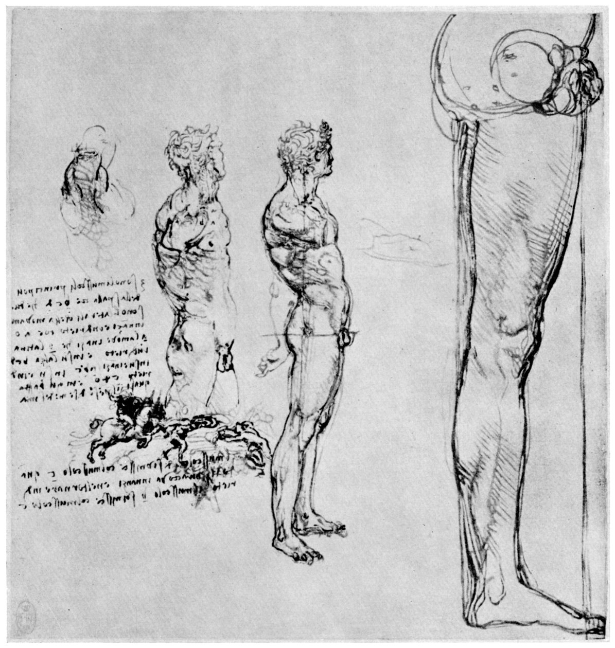 アンギアリの戦いのためのヌード研究、c1503-1505 1954 作： レオナルド・ダ・ヴィンチ