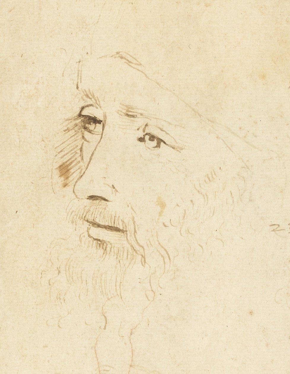 レオナルド・ダ・ヴィンチの肖像、1518年頃。 作： レオナルド・ダ・ヴィンチ、