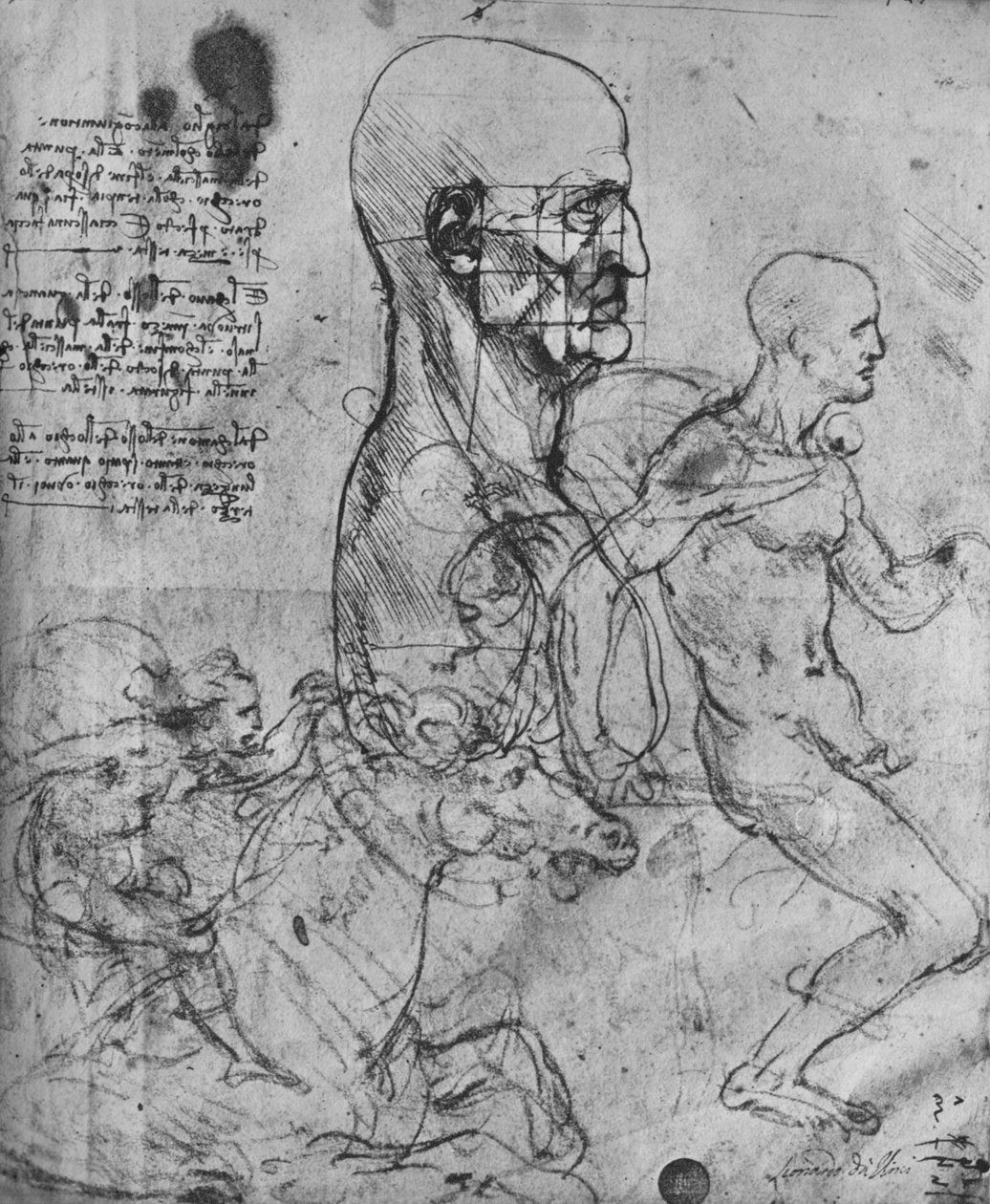 比率と乗馬の研究のために二乗した男のプロフィール、c1480 1945 作： レオナルド・ダ・ヴィンチ