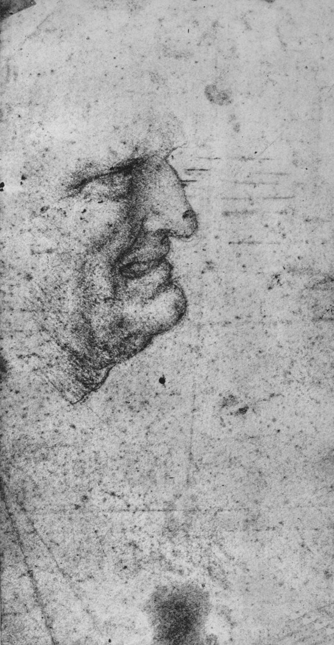歯を食いしばった男のプロファイル、c1480 1945 作： レオナルド・ダ・ヴィンチ