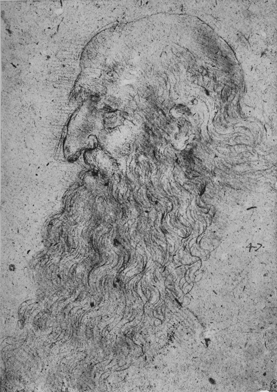 左のひげを生やした老人のプロファイル、c1480 1945 作： レオナルド・ダ・ヴィンチ