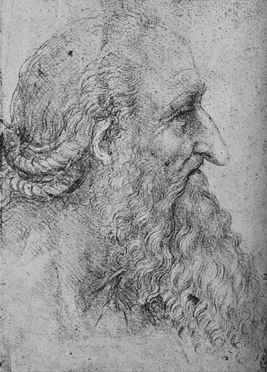 右のひげを生やした老人のプロファイル、c1480 1945 作： レオナルド・ダ・ヴィンチ