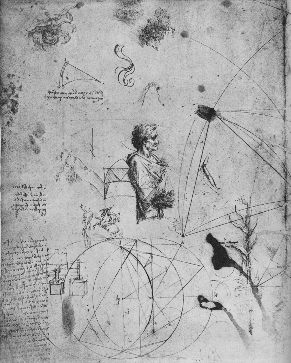 老人のプロフィール、植物、幾何学図形など、c1480 1945 作： レオナルド・ダ・ヴィンチ