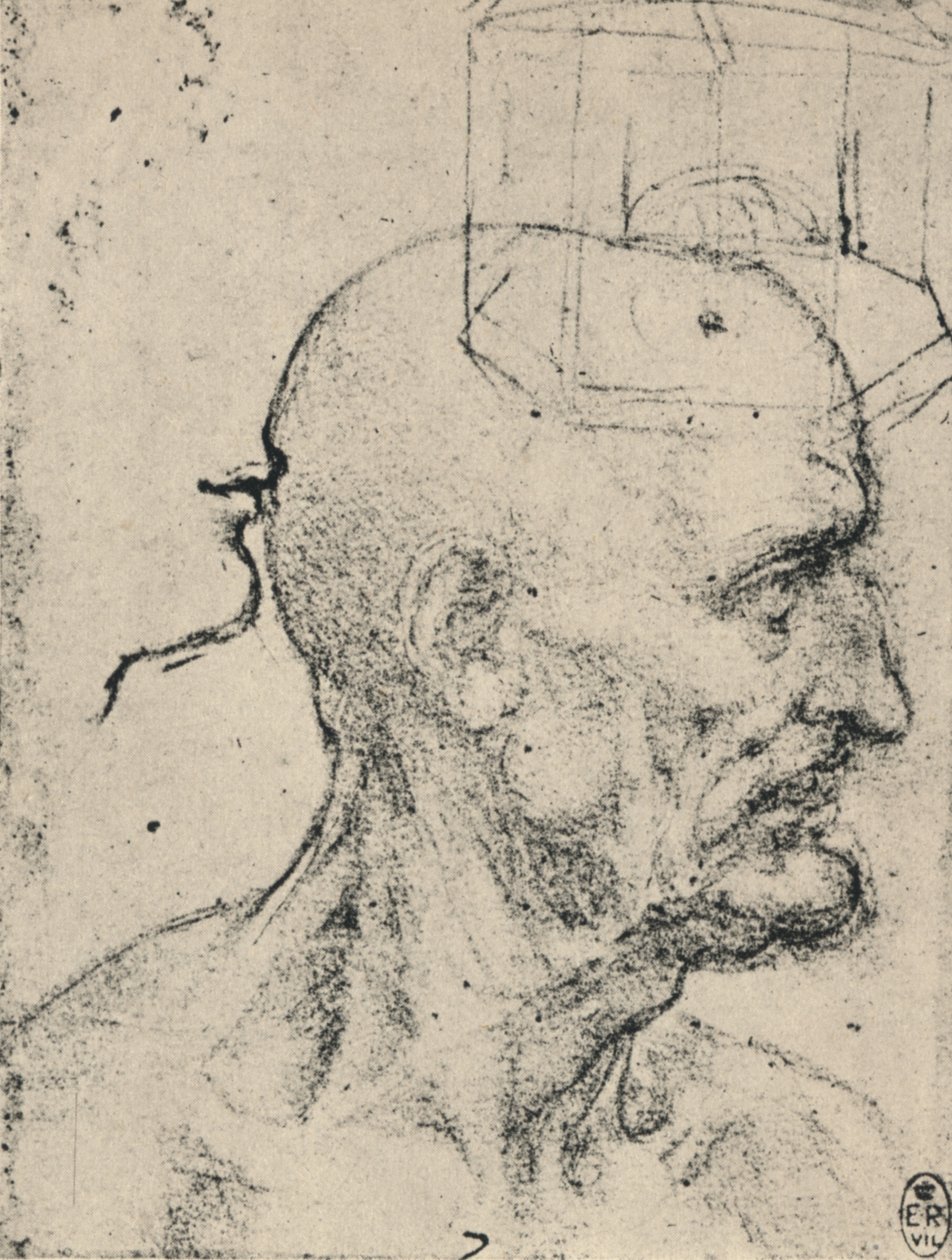 ハゲ男の右のプロフィール、c1480 1945 作： レオナルド・ダ・ヴィンチ