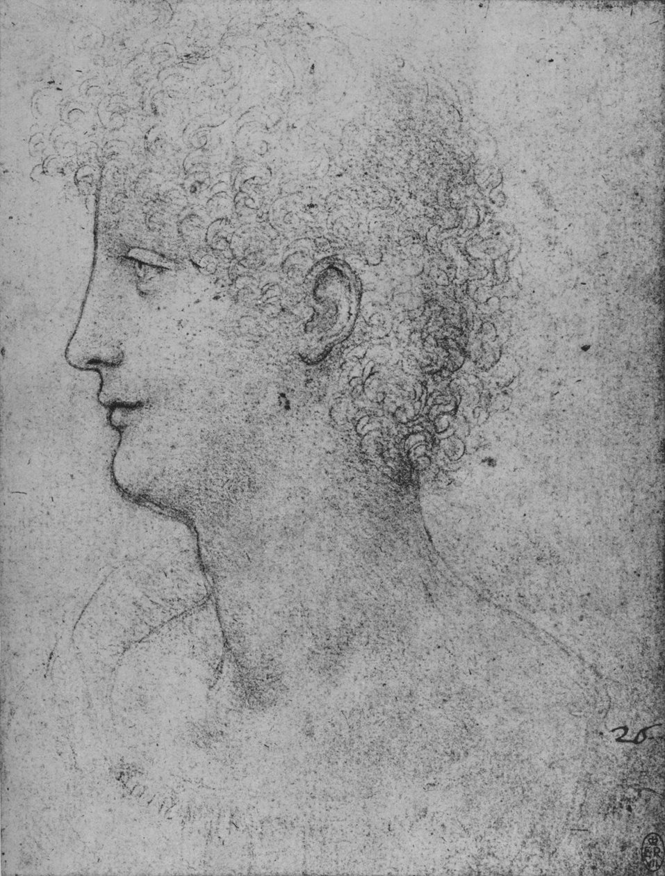 カーリーヘッドユースの左側のプロフィール、c1480 1945 作： レオナルド・ダ・ヴィンチ